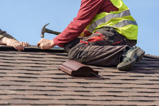 Best Metal Roofing Contractor  in Lexington, MI