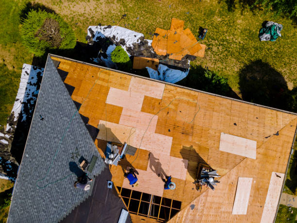Best Roof Maintenance Services  in Lexington, MI