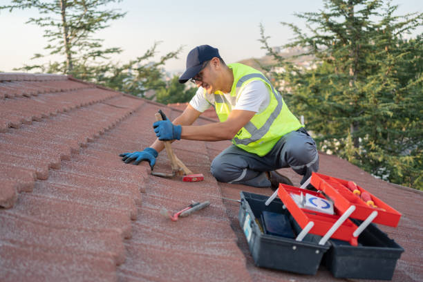 Best Commercial Roofing Services  in Lexington, MI