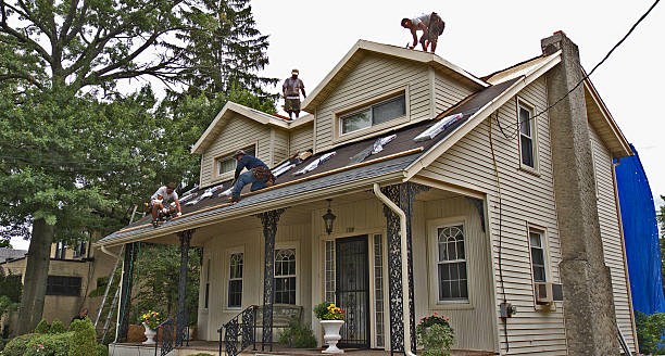 Best Emergency Roof Repair  in Lexington, MI