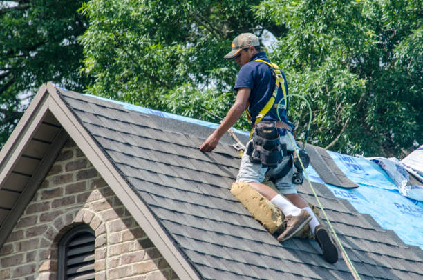 Best Best Roofing Contractors  in Lexington, MI