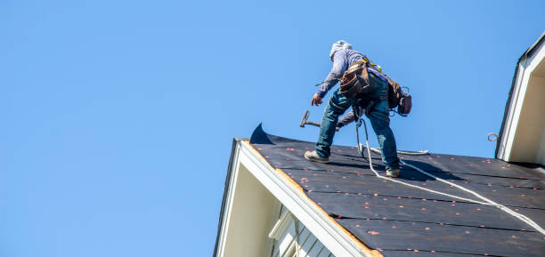 Best Roof Waterproofing Services  in Lexington, MI